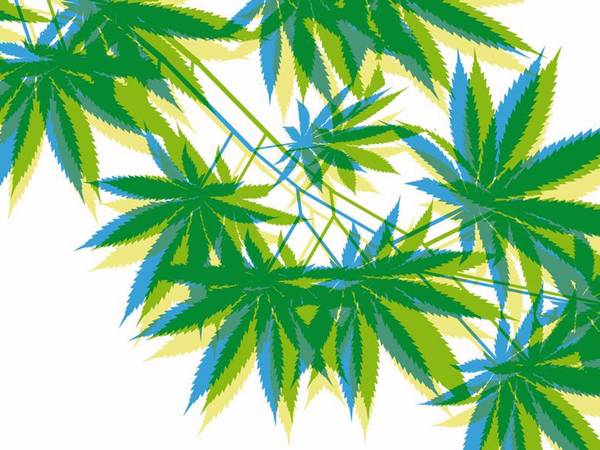 huile essentielle cbd